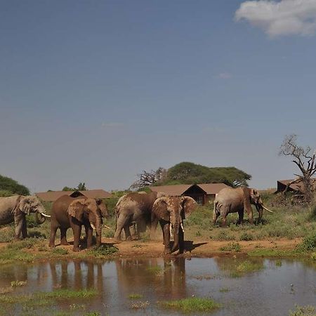 Kilima Safari Camp Hotel Oloitokitok Buitenkant foto