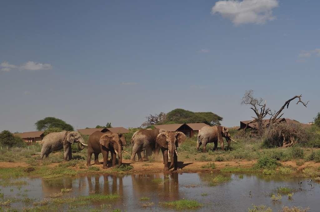 Kilima Safari Camp Hotel Oloitokitok Buitenkant foto